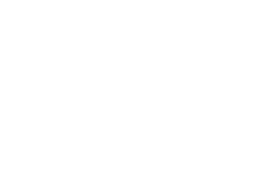 cropped logo.png